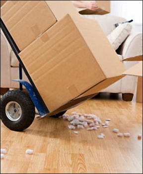 Professional Movers Yeovil